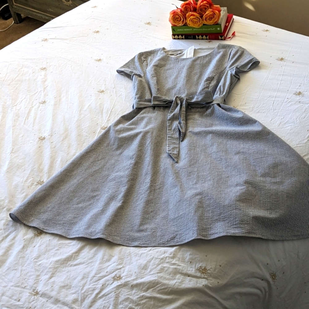 Hobbs London Dress, Blue and White Stripe, US 4